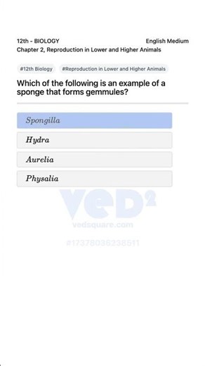 12th Biology Reproduction in Lower and Higher Animals Sponge Gemmules