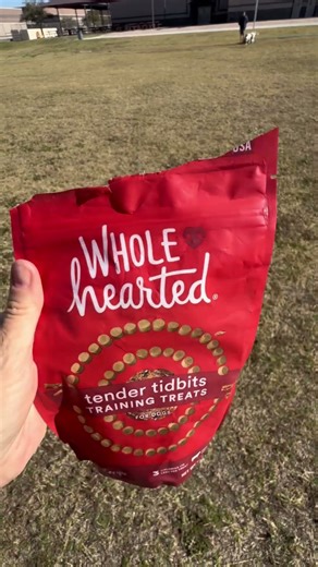 Reinforcing Training #goldendoodles #dogtrainingtips #dogtreats #puppytraining