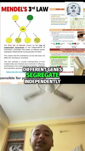 Mendel's Third Law #shorts #education #biology #video #neet #science #viral #reels