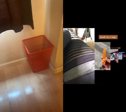 #duet with @milo_meeeeee Orange is my favorite color how dare I be betrayed #orange #foryou