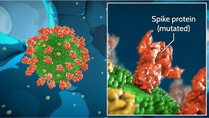 Vaccines | Ocugen, Inc.