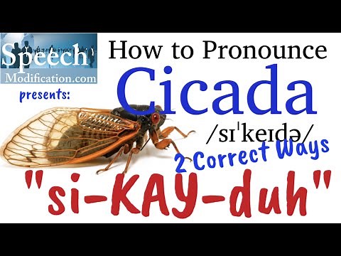 How to Pronounce Cicada (2 Correct Ways)
