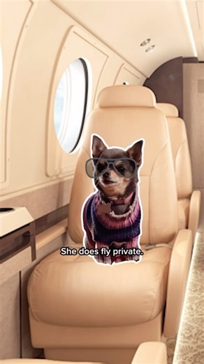 🐾 @rodriguezramon and @willtrentbetty have a unique relationship on and off screen. Don’t miss the dynamic duo in the season finale of #WillTrent! Watch tomorrow, Tue May 21 at 8/9mt on #CTV. 🐾 | CTV