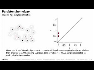 Topological Representation Learning for Structured and Unstructured Data - Bastian Rieck