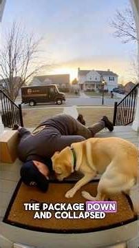 This Dog Wasn’t Trained to Save Lives… Until One Day, He Had To 🦮💛 #doghero