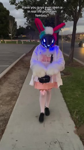 Exploring the Protogen Femboy Phenomenon