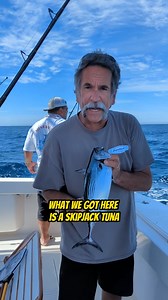 10K views · 134 reactions | This is the Skipjack Tuna! Join “Your...