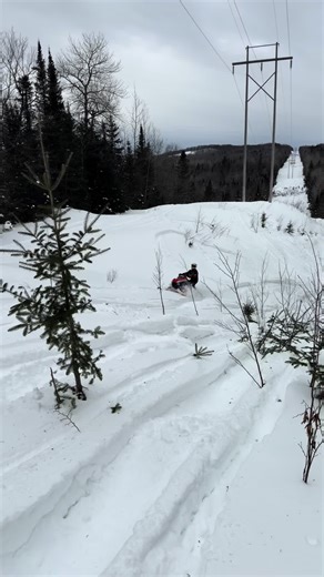 Yuppp#polaris#mod#fyp#iqr#viral