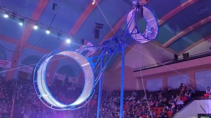 Step Right Up for Fun at the Kazim Shrine Circus
