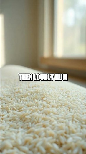 Sound Waves and Rice Jump Experiment