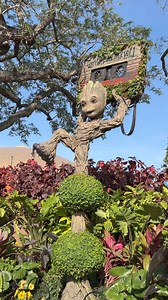 How awesome is the Groot topiary at this year’s Walt Disney World Epcot Flower and Garden festival?! | Destinations To Travel