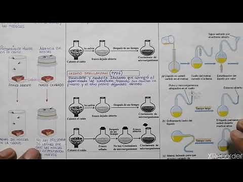 Teoría de la biogenesis
