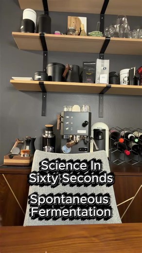 Understanding Spontaneous Fermentation and Its Benefits