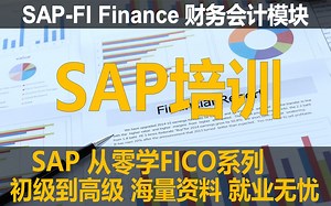 SAP FI财务会计模块课程系列