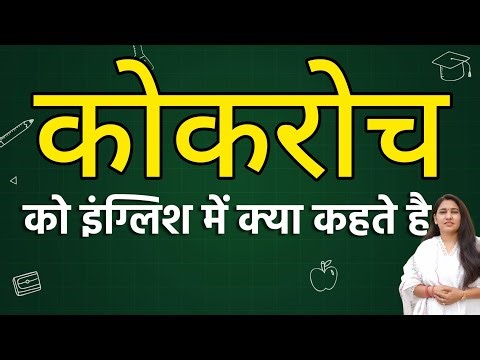 Cockroach को इंग्लिश में क्या कहते हैं ? Cockroach ko english mein kya kahate hain | Cockroach