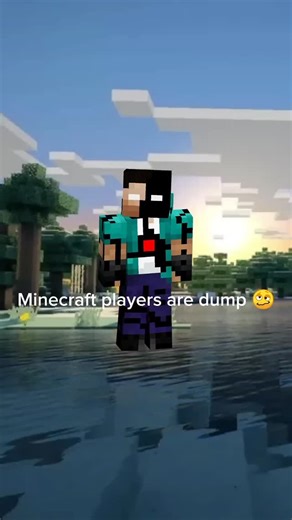 AV on Instagram: "Minecraft players are dumb? (My old Minecraft skin🩶) #memes #edits #minecraft #gaming"