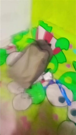 What is the sound of clapping Animals 🤨