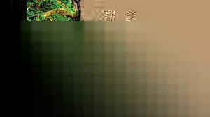 14K views · 533 reactions | Christian Worship Songs With Lyrics | Villaganas VloG | Villaganas MixVlogs | Facebook