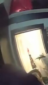 20K views · 117 reactions | A screaming deer broke into a Christmas store in Tennessee and ran buck wild before it got its head stuck in a chair and had to be rescued by local police. | New York Post | Facebook