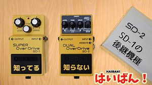 BOSSのSD-1は有名だけど 後継機種（SD-2）があったのは知らなかった。 【はいばん！】