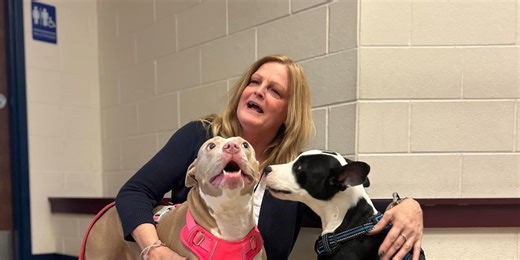 Puppy found malnourished in porta-potty finds forever home, shelter says