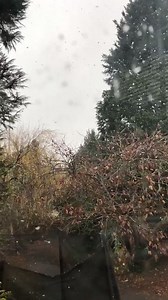 45K views · 2.3K reactions | Winter is coming... (if we're still allowed to use that term... ) It's snowing in Blackheath! ❄️ Lindsay Holmwood / Twitter | ABC Sydney | Facebook