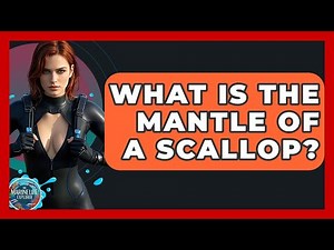 What Is The Mantle Of A Scallop? - The Marine Life Explorer