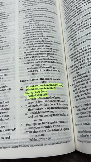 song of solomon 4:7 † #esv #bible #bibleverse #songofsongs #songofsolomon #biblestudy #christians #christianity #christianitytiktok #catholic #orthodox #bibleversedaily #jesus #christ #god #jesuslovesyou #jesussaves #happy #beauty #her #love #lovegod #lovejesus #jesusisking