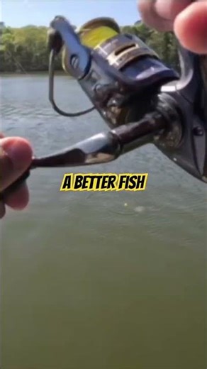 Let It DRIFT Through! | CRAPPIE FISHING #thenextcast #fishing