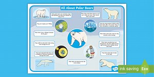 All About Polar Bears Fact File