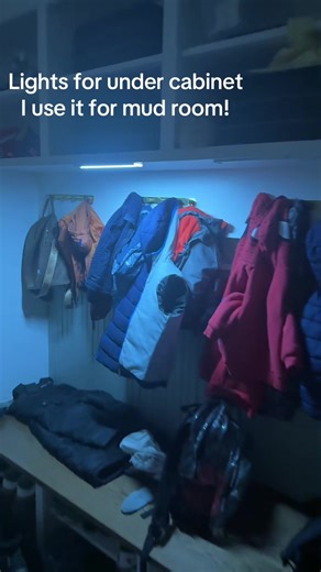 Cabinets or mud room?