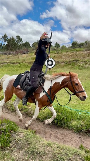 Fast horse training on the speed queen Patches🏹 Patches is the best of both worlds, slow or fast depending on my cues and acing either one! | Sasha Chadburn