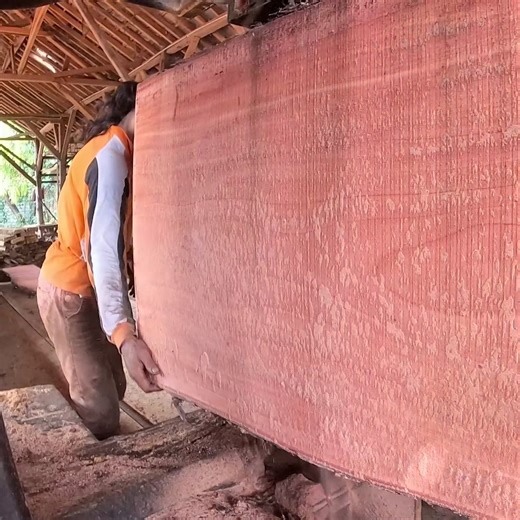 2.7K views · 29 reactions | dangerous work without complete safety precautions | Sawmill & Woodworking | Facebook