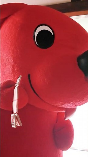 【クセになる音】ふしぎなおもちゃを見つけたよ #チーバくん #shorts