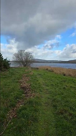 Bassenthwaite Lake Nature Reserve, Cumbria United kingdom