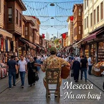 Mesecca - Nu am bani