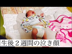 【生後２週間】元気な赤ちゃんの泣き顔