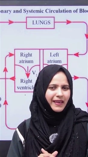 Double Circulation | Explained by Sumaiyya Ma’am | Ventoria Classes #amu #jmi #bhu
