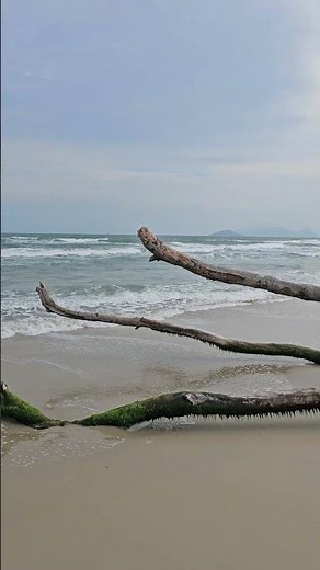 14 ноября 2025 г.