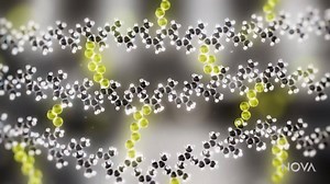 Vulcanization | Beyond the Elements