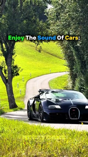 Enjoy The Sound Of Cars ✨