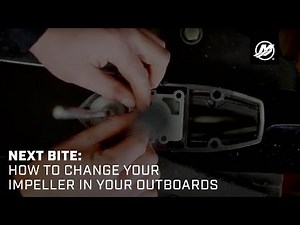 Next Bite - How to Change your Impeller in your Outboards