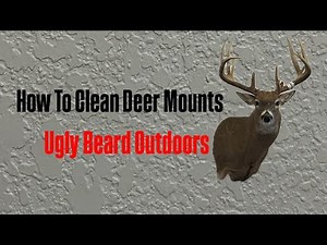 How To Clean Deer Mounts…