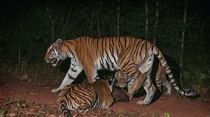 13K views · 282 reactions | This is the first photographic evidence...