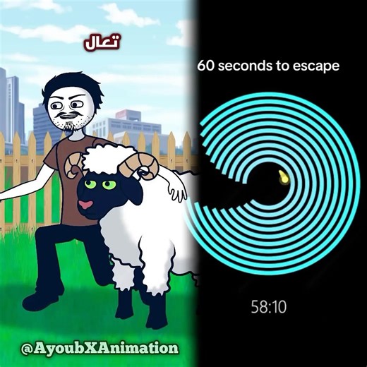 How to train your sheep - #ANIMATION
