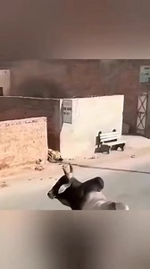 108K views · 1.9K reactions | Not try to laugh 藍 | Mythical World | Facebook