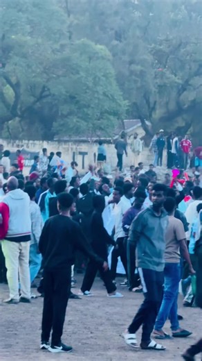 Falsh to quter final 🔥 #camerdaisli😂