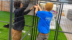 Hamilton County tosses old court records, makes room for stray dogs