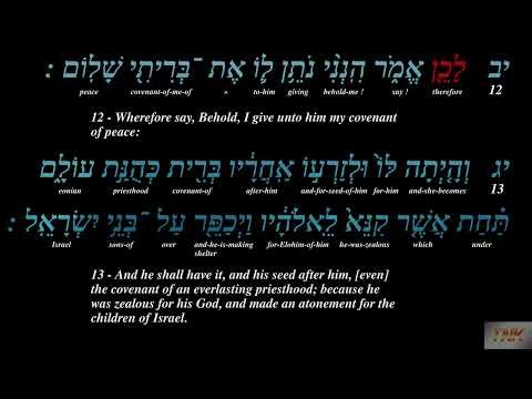Numbers 25 - Bible Audio Hebrew and Subtitles in English