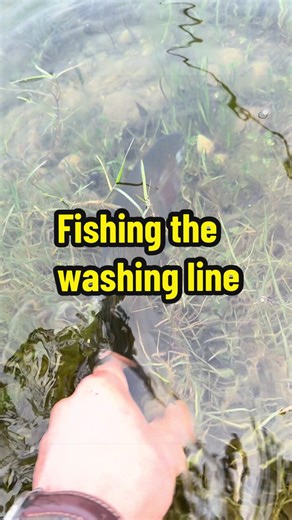 Catching Fish on a Still Lake with Washing Line Technique